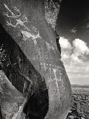 Lone Grave Butte #660 2008