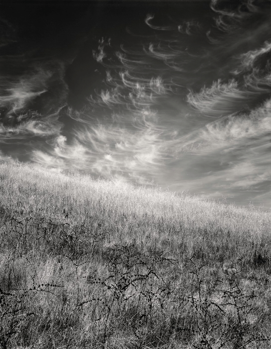 Hillside and Clouds1982