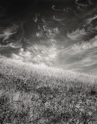 Hillside and Clouds 1982